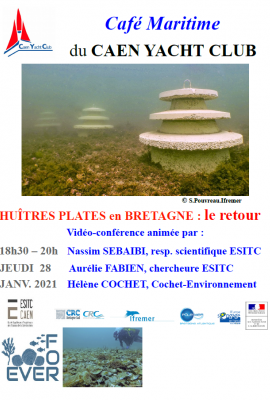 ESITC Caen - Café Maritime - Caen Yatch Club - HUÎTRES PLATES en BRETAGNE : le retour