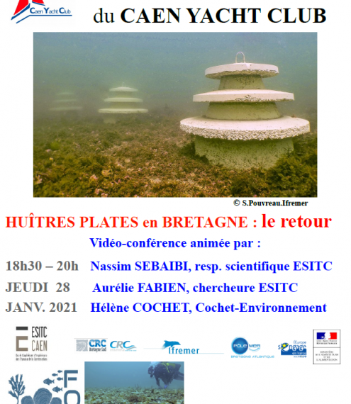 ESITC Caen - Café Maritime - Caen Yatch Club - HUÎTRES PLATES en BRETAGNE : le retour